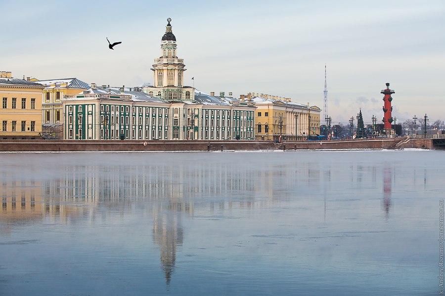 Шедевры Кунсткамеры Шедевры Кунсткамеры