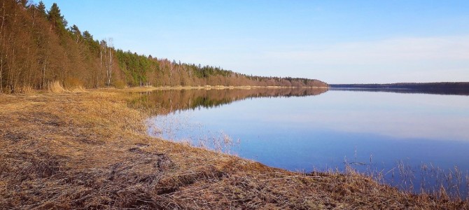 Липовское солёное озеро Липовское солёное озеро