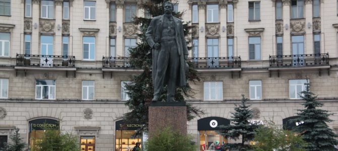 Петербург начали украшать живыми елями
